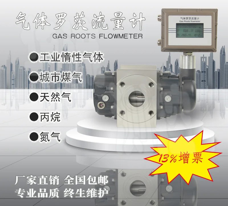 空氣羅茨流量計產品圖